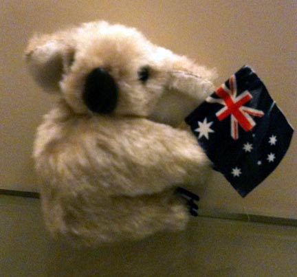 Tony-Self-Koala